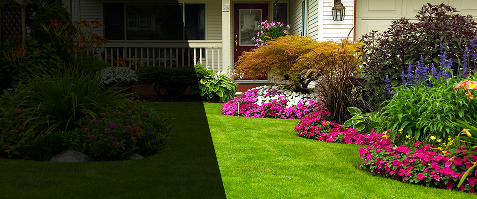 Micanopy Landscapers