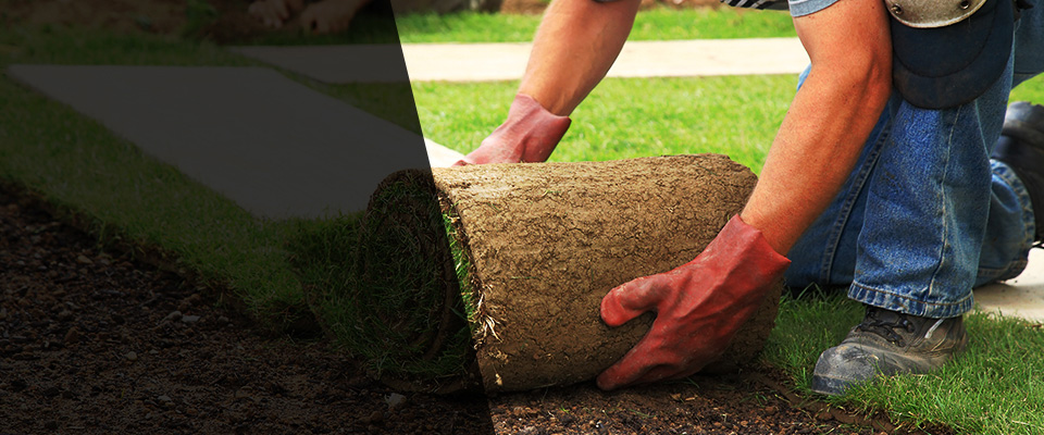 Micanopy Landscapers
